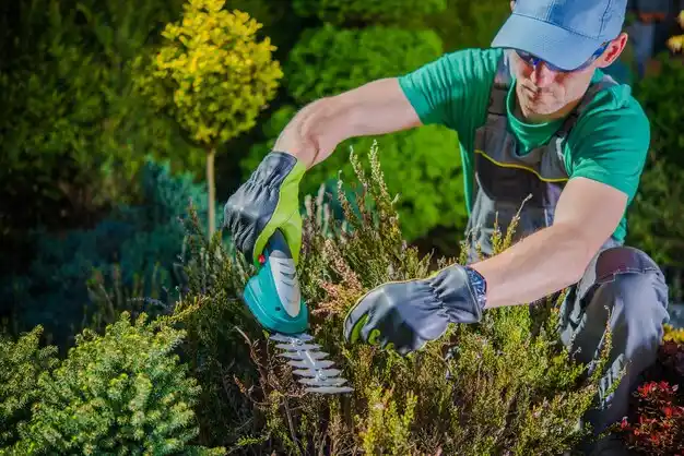 landscaping services South Dennis